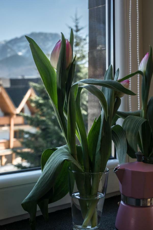 5 Krokow Zakopane Esterno foto